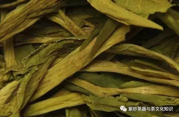 泡完的茶叶不要丢，仔细看能看出茶叶好坏