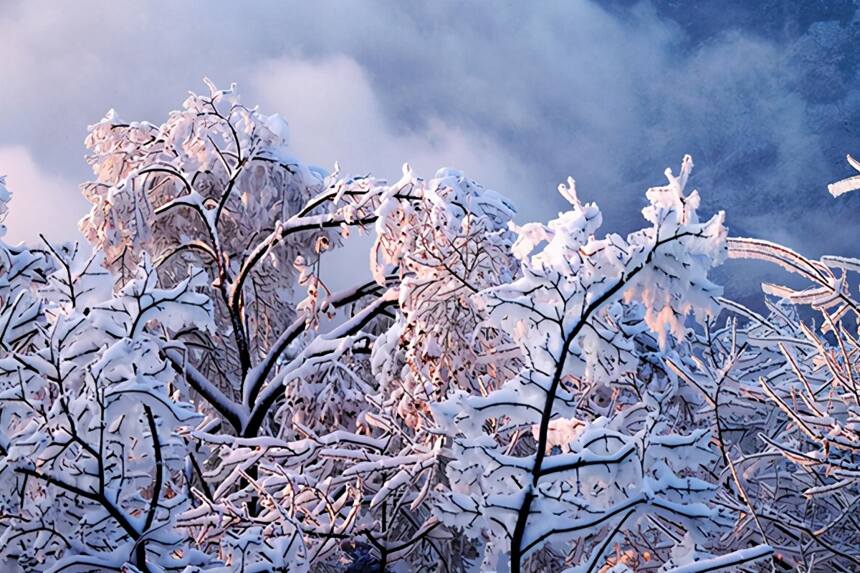 佳逸茶具 |青花雪景怎一个美字了得