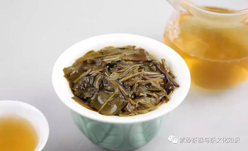 普洱茶苦涩感强的原因是什么？