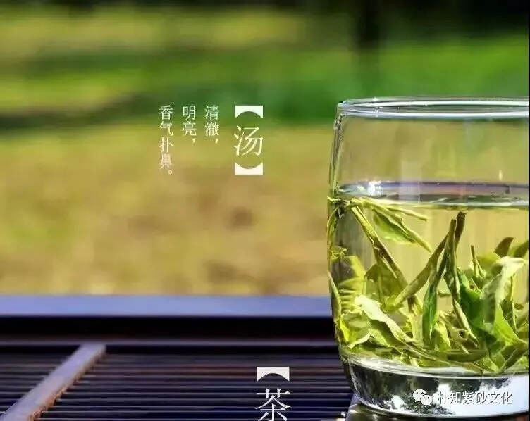 春茶的营养价值