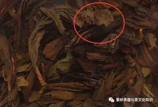 泡完的茶叶不要丢，仔细看能看出茶叶好坏