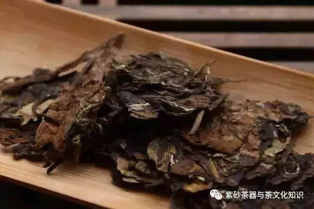 一雨成冬，教你煮壶老白茶驱寒