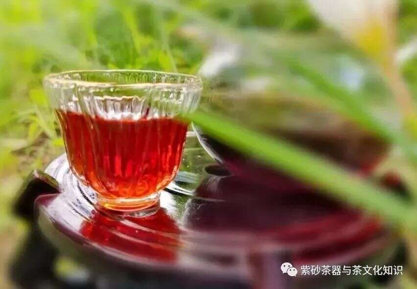 茶叶为什么要醒茶？“干醒”和“湿醒”的区别在哪？