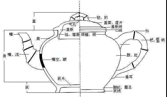 三顾堂堂主谈紫砂：壶钮，壶盖，壶嘴，壶把及壶底的基本知识