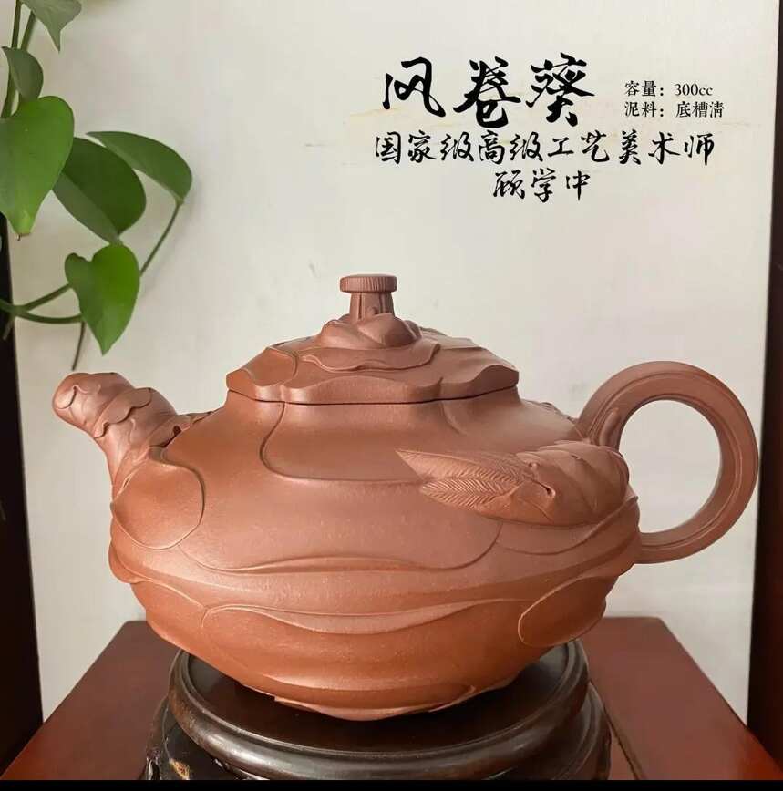 风卷葵 高工顾学中