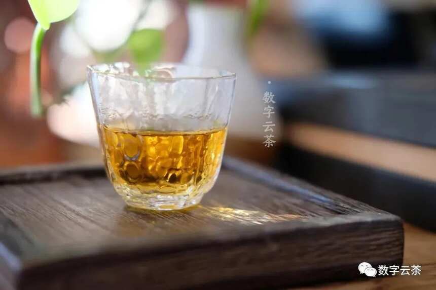 茶百科 丨 同样是发酵，普洱熟茶与红茶有何区别？