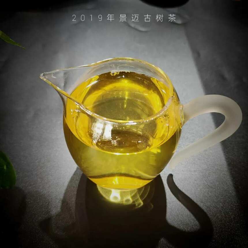 2019年景迈古树，香气高扬