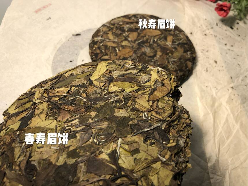 讲一讲春寿眉和秋寿眉的区别