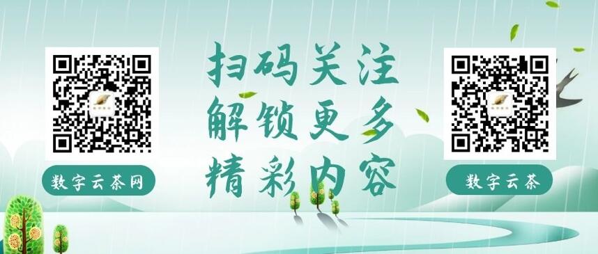 茶趣谈 丨 名字奇葩却让人上头的茶