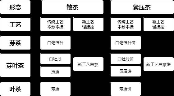 白茶新手知识｜让你三分钟快速了解白茶