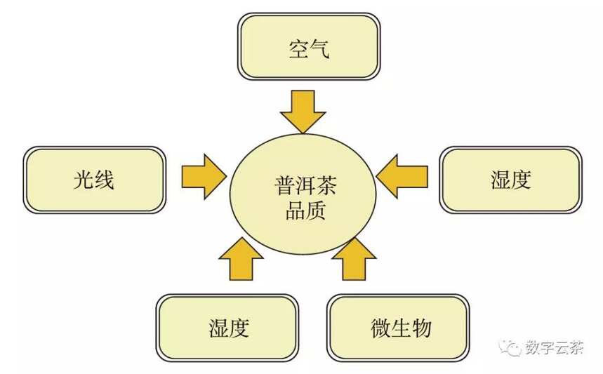 茶百科 丨 周红杰：形成普洱茶品质三大要素之科学的仓储