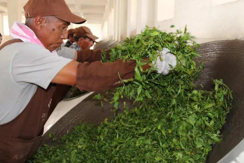 小暑将至：闲聊普洱山头茶