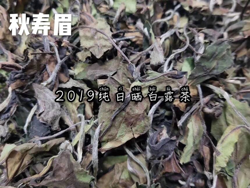 讲一讲春寿眉和秋寿眉的区别