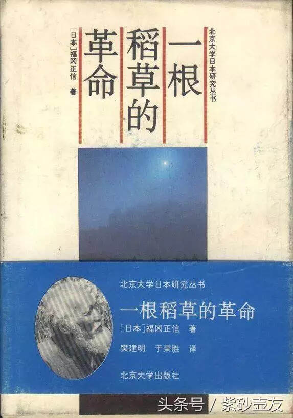 匠心丨这个日本傻瓜11年才种出2个苹果，却最终感动了全国……