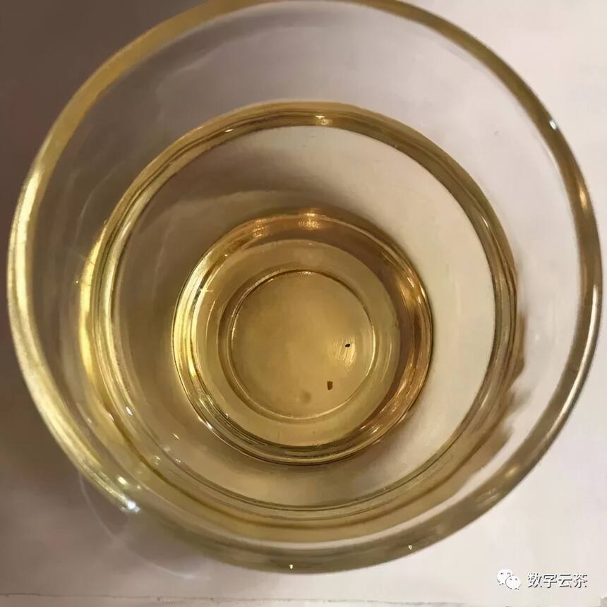 茶百科 丨 周红杰：形成普洱茶品质三大要素之优质的原料