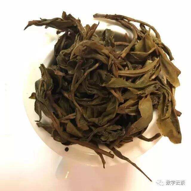 茶百科 丨 周红杰：形成普洱茶品质三大要素之优质的原料