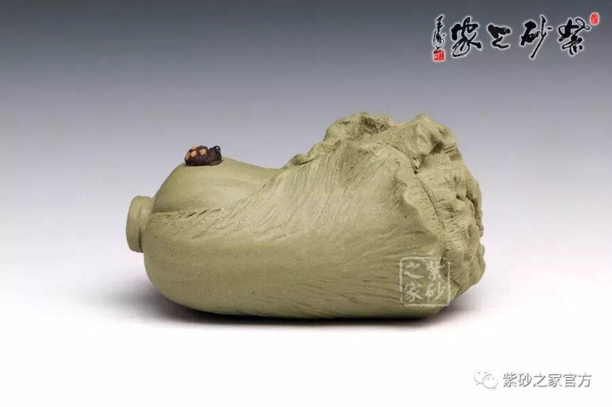 茶宠全解：什么寓意？怎么摆？如何养？