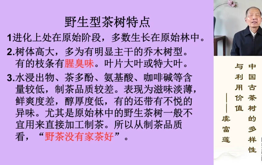 投资收藏普洱茶的利润空间越来越小，风险越来越大