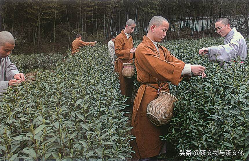 世界文化景观遗产：杭州西湖之茶园、茶禅、茶贡