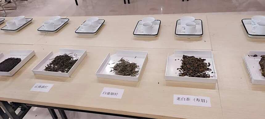 积木宝贝闯世界之茶文化带你走进郑州市十佳地标打卡地