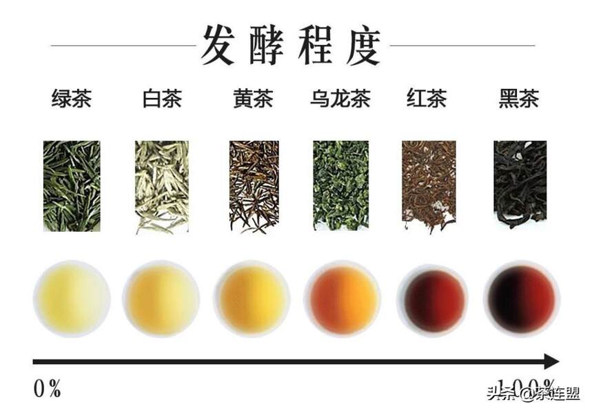 什么？安吉白茶不是白茶是绿茶，茶连盟带你看懂中国的茶分类