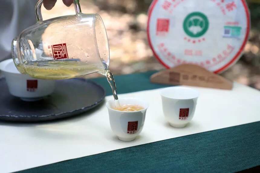 一杯好熟茶「普洱熟茶教科书」作者见面会预告