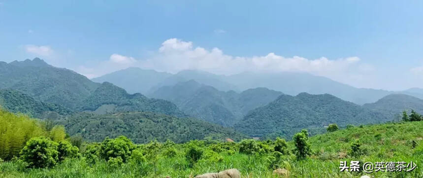 木朗山：自然为道，大匠不工