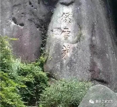 一壶茶喝掉数万元，这些茶大有来头