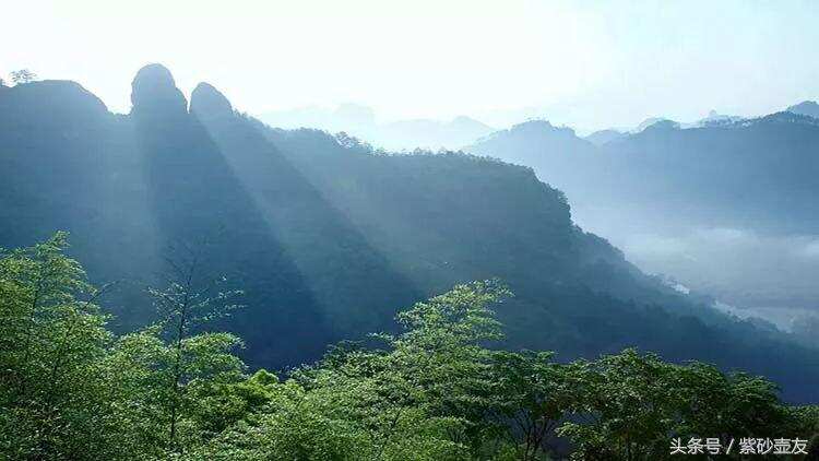 匠意丨岩茶之旅：只此灵山产灵茶