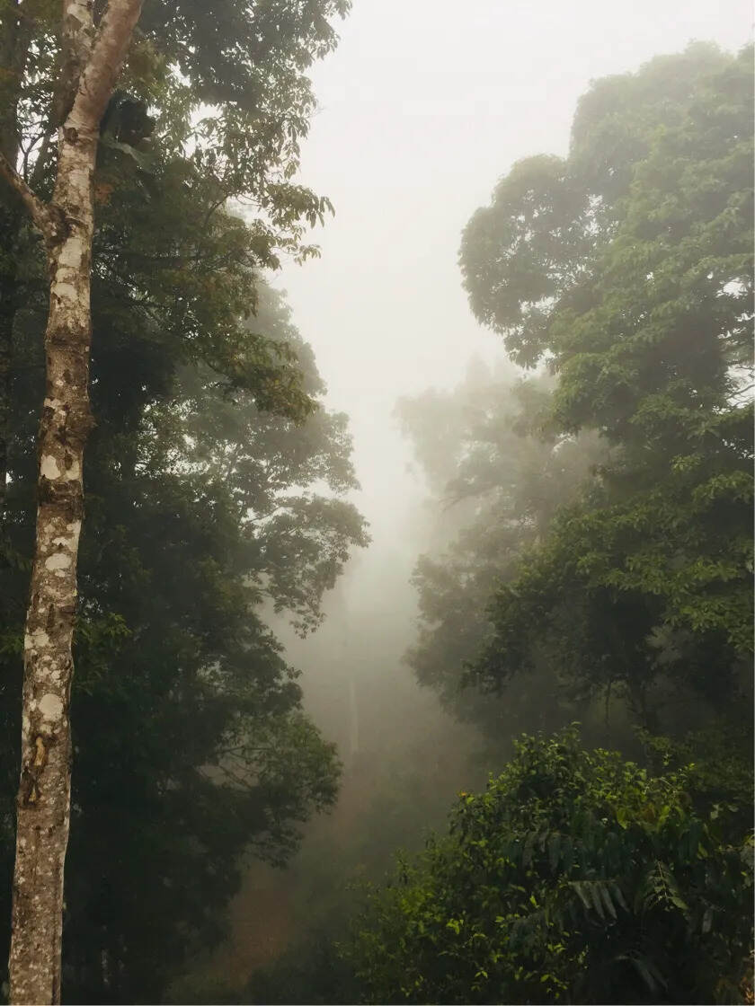 投资收藏普洱茶的利润空间越来越小，风险越来越大