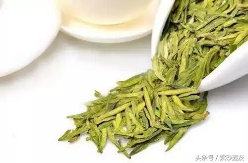 15条茶叶知识，让你缩小与资深茶友的差距！