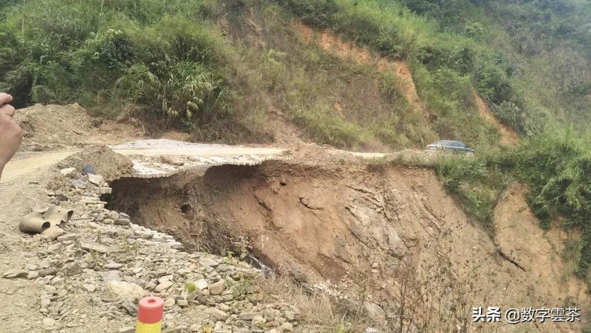 云南茶区土壤种类及分布