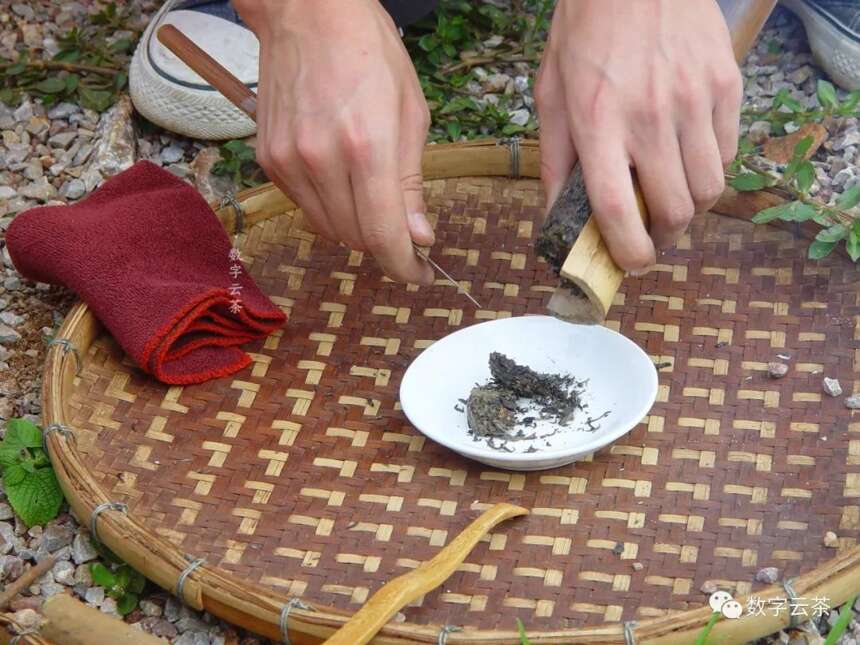 茶民族 丨 傣族竹筒香茶，解锁茶叶新吃法