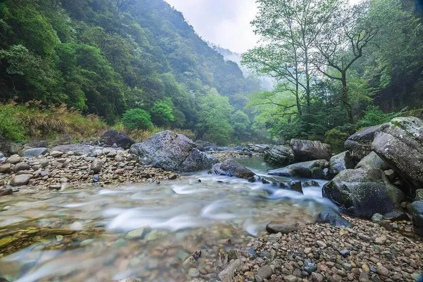 看不厌的武夷山，说不尽的茶文化