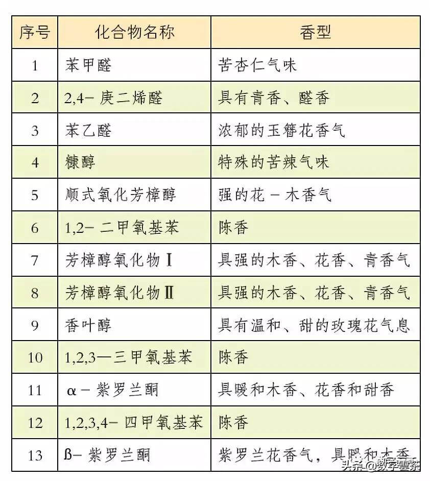 茶百科 丨 听说长在樟树旁的普洱茶就会有樟香，这是真的吗？