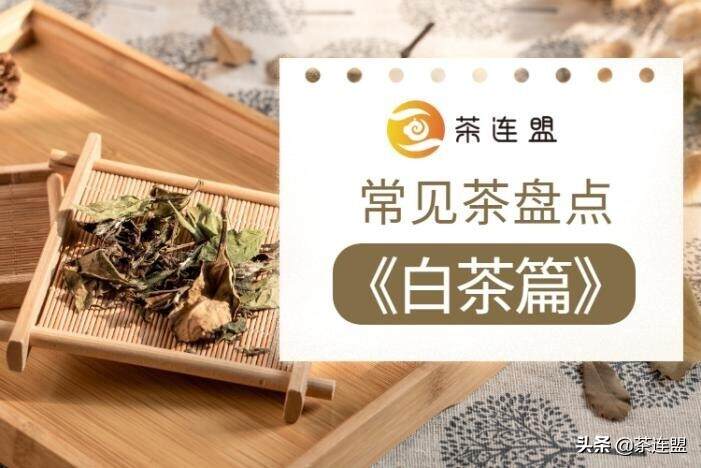 茶连盟丨常见茶分类盘点（六）《白茶篇》