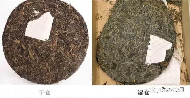 茶百科 丨 普洱茶干仓湿仓这样辨别