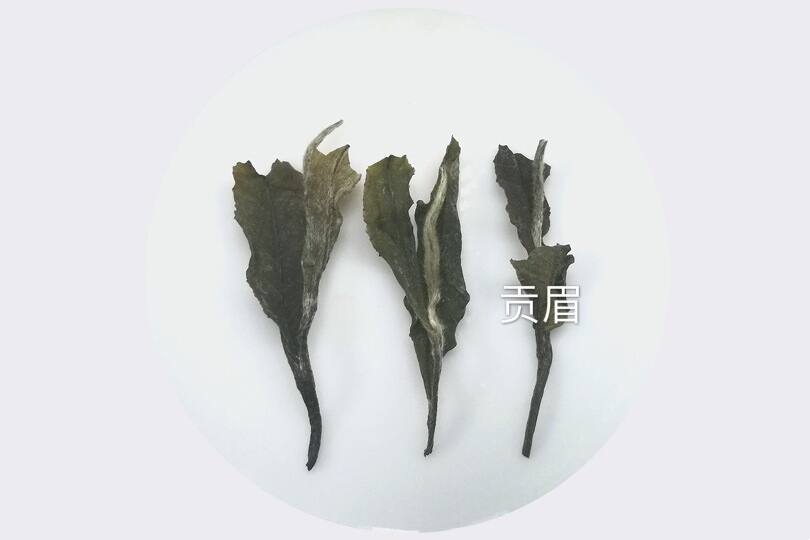 只有银针白牡丹有等级划分？其实寿眉也有，看看分几级