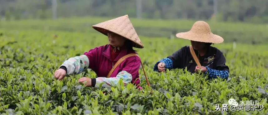 木朗山：自然为道，大匠不工