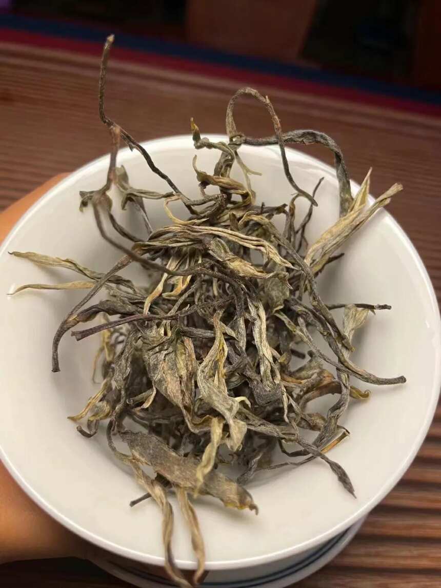 那卡古树，茶气足