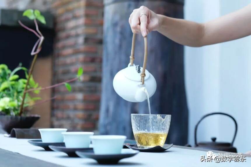 古人泡茶选什么水？