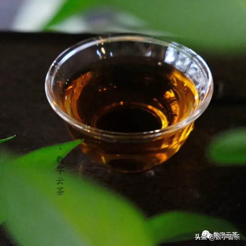 普洱茶家庭存储指南