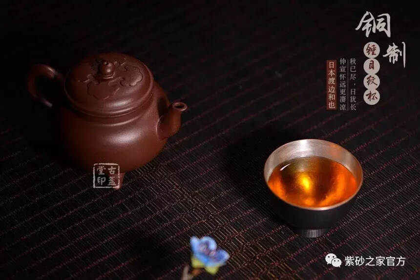 看透了人间的繁杂，但也请科学喝茶