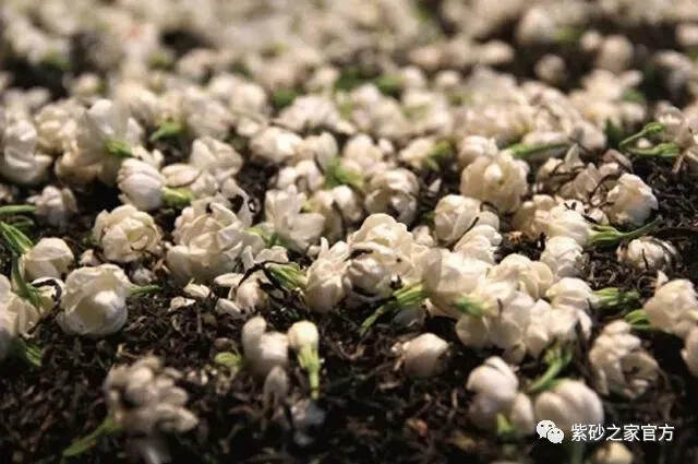 最香六款茶，榜首是它