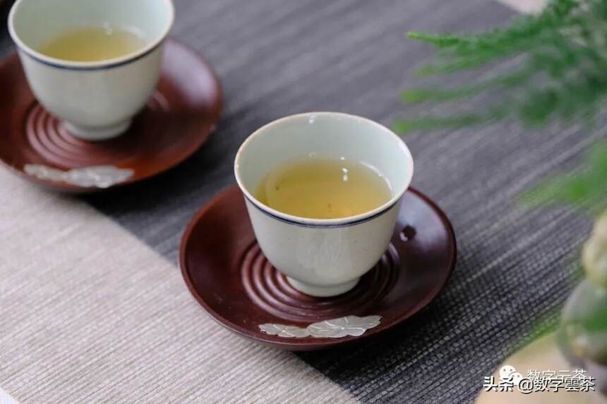 古人泡茶选什么水？