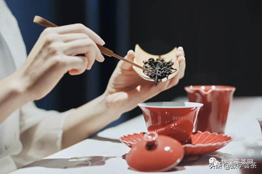 茶百科 丨 如何泡好一杯茶（小白必看）