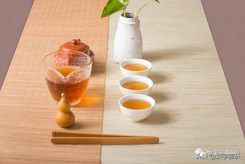 茶百科 丨 红茶叫”black tea”，那黑茶叫什么？