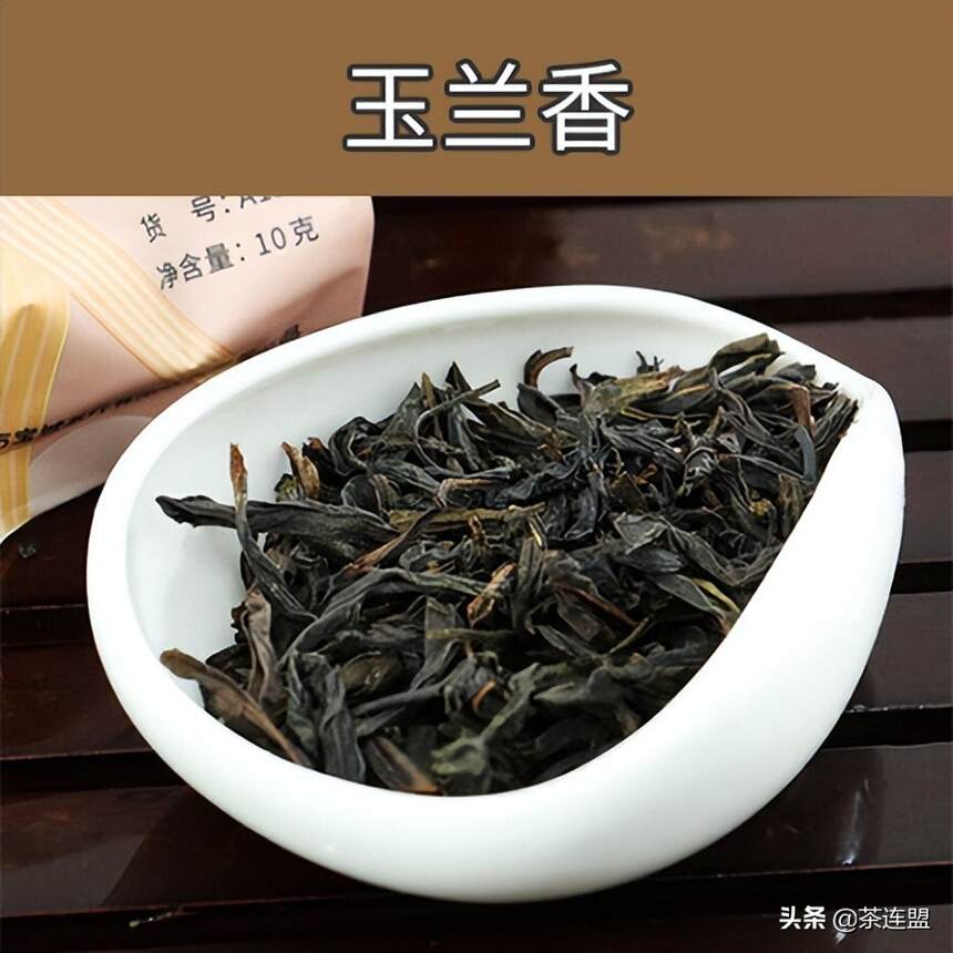 茶连盟丨常见茶分类盘点（四）《单丛茶篇》