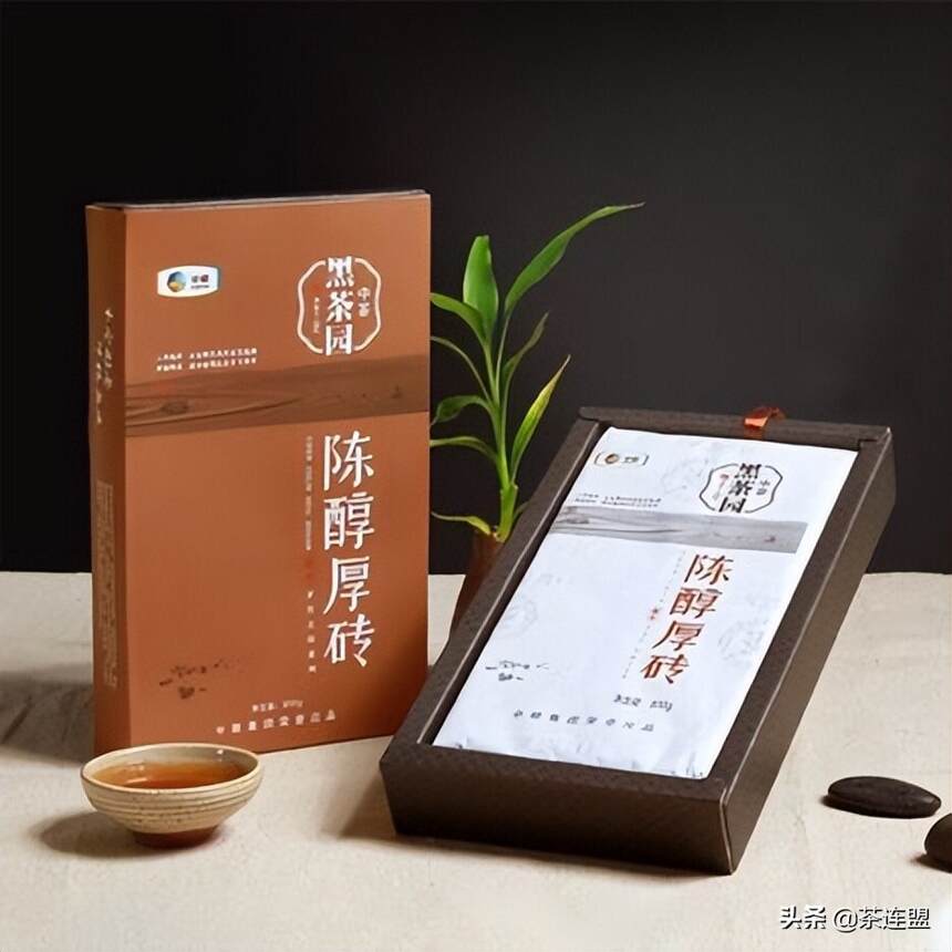 茶连盟丨常见茶分类盘点（五）《黑茶篇》