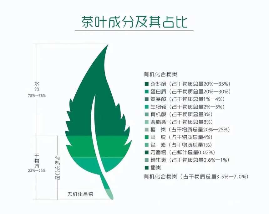 我的一个关于“古董茶”的悖论